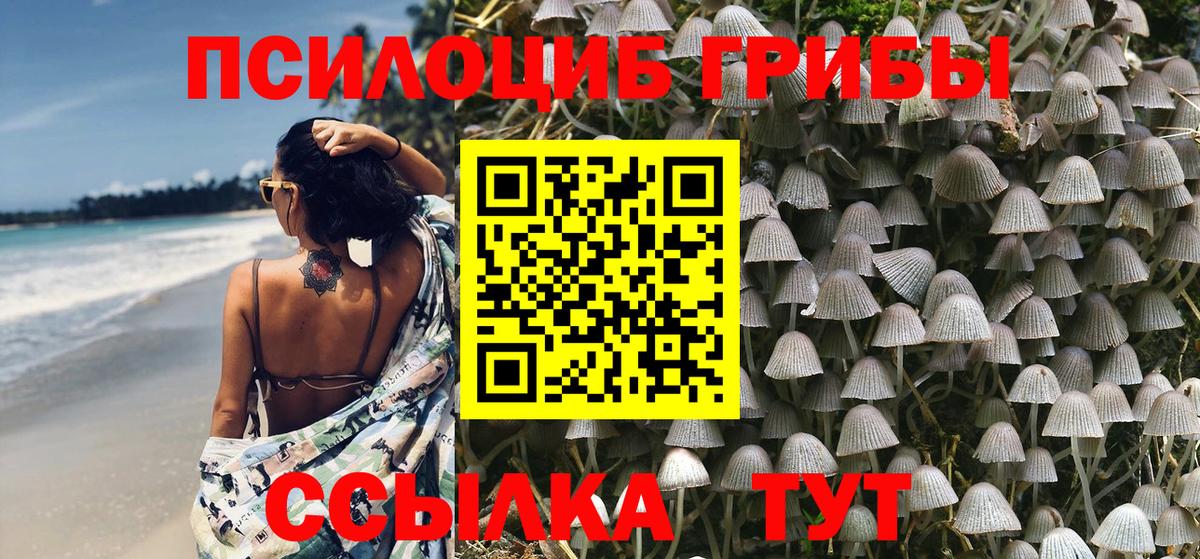 закладка  Псилоцибиновые грибы Psilocybe  Вход с VPN  Можга 