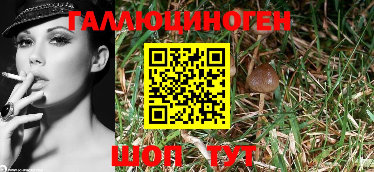 Псилоцибиновые грибы MAGIC MUSHROOMS Можга